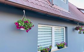 Apartamenty pod Wieżą 1